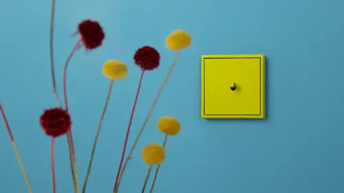 Lichtschalter im Programm LS 1912 in Les Couleurs® Le Corbusier, LC-4320F vert olive vif. Detailaufnahme mit Trockenblumen und einer türkisfarbenden Wand.