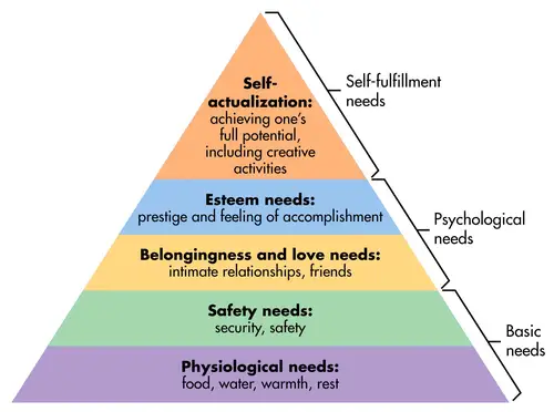 The needs pyramid shows a hierarchical structure of human needs