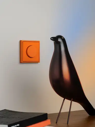 Rotary control unit in the LS 990 range in one of Les Couleurs® Le Corbusier's timeless colours. Ambience shot with decorative elements in the foreground.