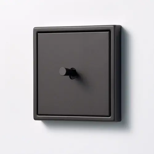 Toggle switch in the LS 1912 range made of lacquered aluminium in the colour Dark, with a conical toggle lever.