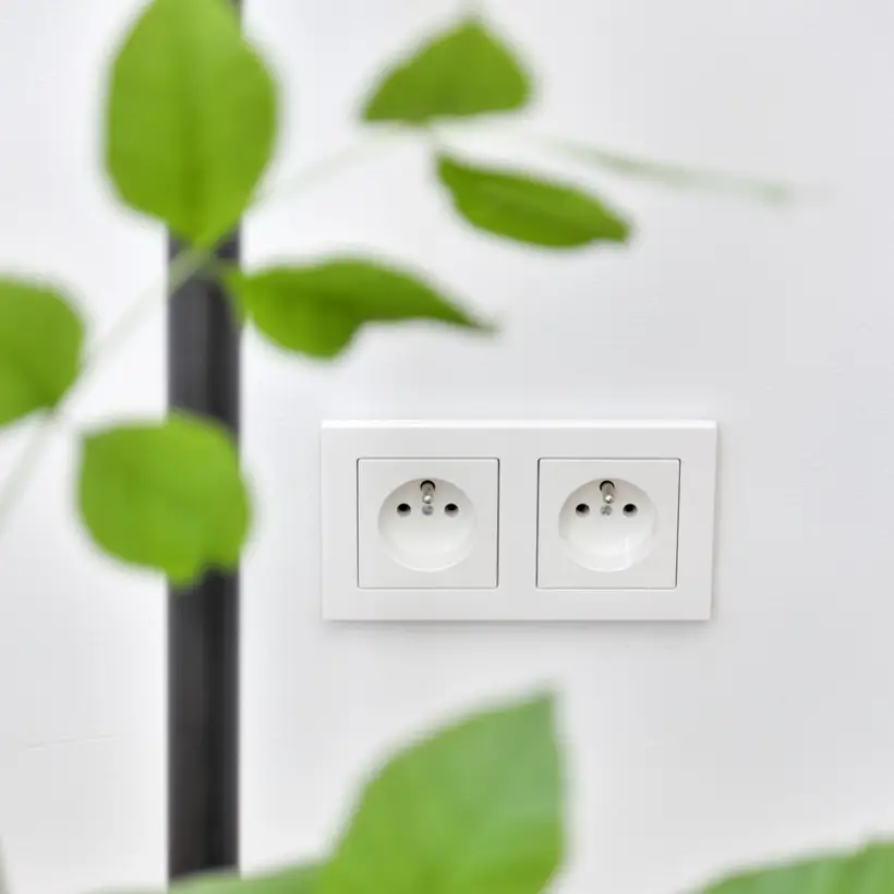 Steckdose, französisch/belgisches System, Safety+, im Programm A Creation aus Kunststoff in Alpinweiß. Frontale Detailaufnahme auf einer weißen Wand, mit hellem Holzboden und einer durch die Varianz der tiefenschärfe, sind die Pflanzenränke im vordergrund