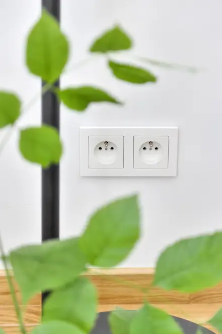 Steckdose, französisch/belgisches System, Safety+, im Programm A Creation aus Kunststoff in Alpinweiß. Frontale Detailaufnahme auf einer weißen Wand, mit hellem Holzboden und einer durch die Varianz der tiefenschärfe, sind die Pflanzenränke im vordergrund