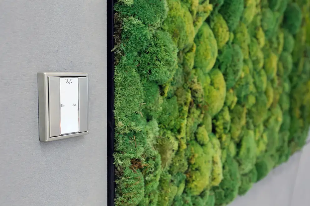 Taster F 50 für KNX aus Edelstahl, fotografiert in leichter Perspektive, vor einer grauen Wand. Im Ausschnitt sieht man ein Moosildb