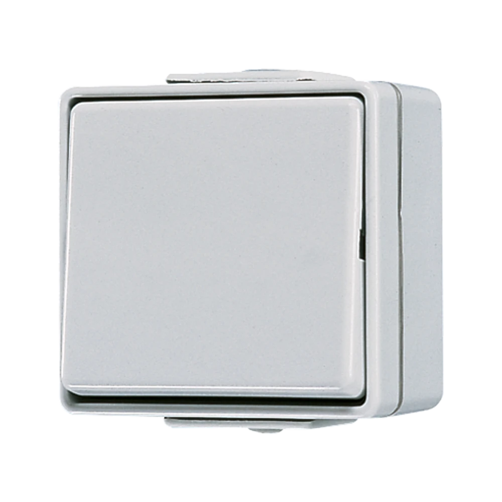 1-gang switch, 1-pole, 1-way, 10 AX 250 V ~, grey