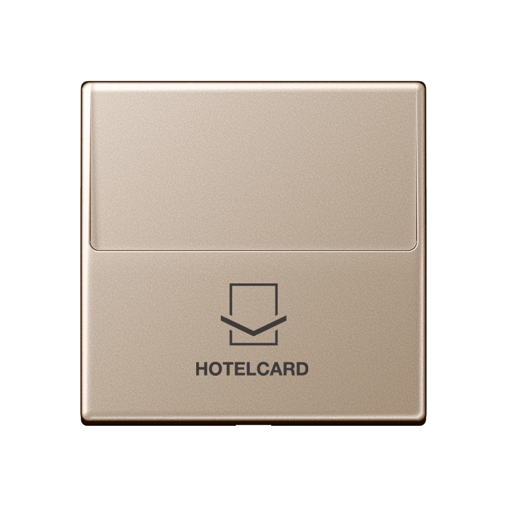 Key card holder, champagne