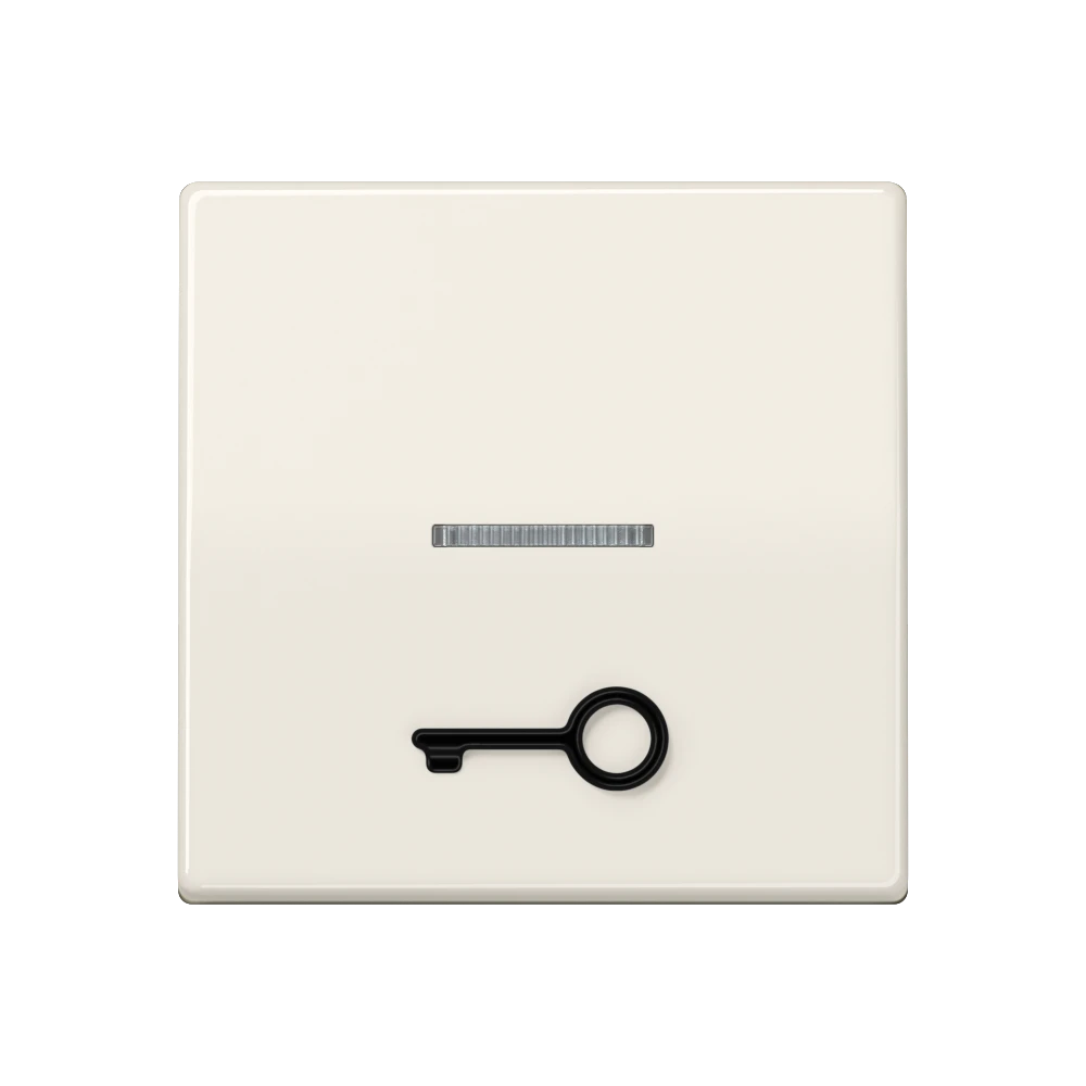 Rocker, with tactile symbol "door", with lens, ivory