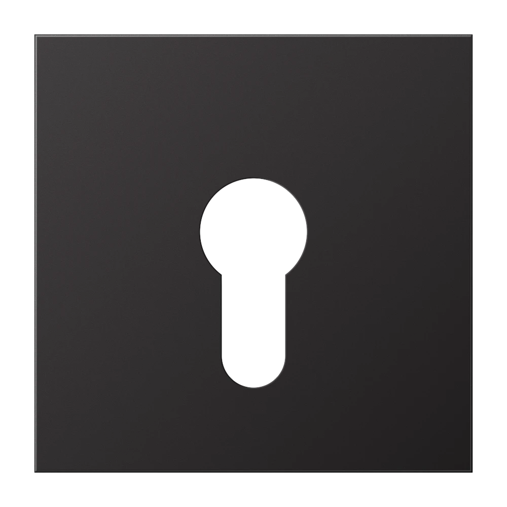 Centre plate, for key switch without protection against dismounting, dark