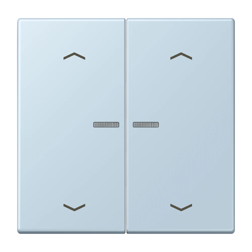 JUNG HOME Taster 2fach, mit Pfeilsymbolen, mit Lichtleiter, outremer clair (32022)