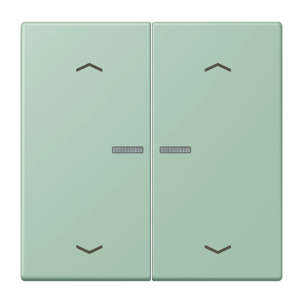 JUNG HOME Taster 2fach, mit Pfeilsymbolen, mit Lichtleiter, vert anglais clair (32041)