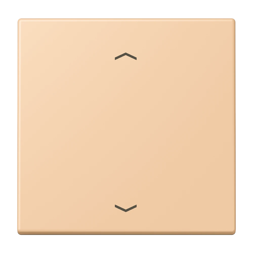 LB Management push-button, with arrow symbols, terre sienne claire 31 (32122)