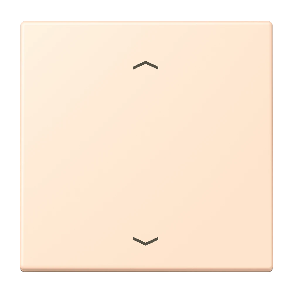 LB Management push-button, with arrow symbols, terre sienne pâle (32123)