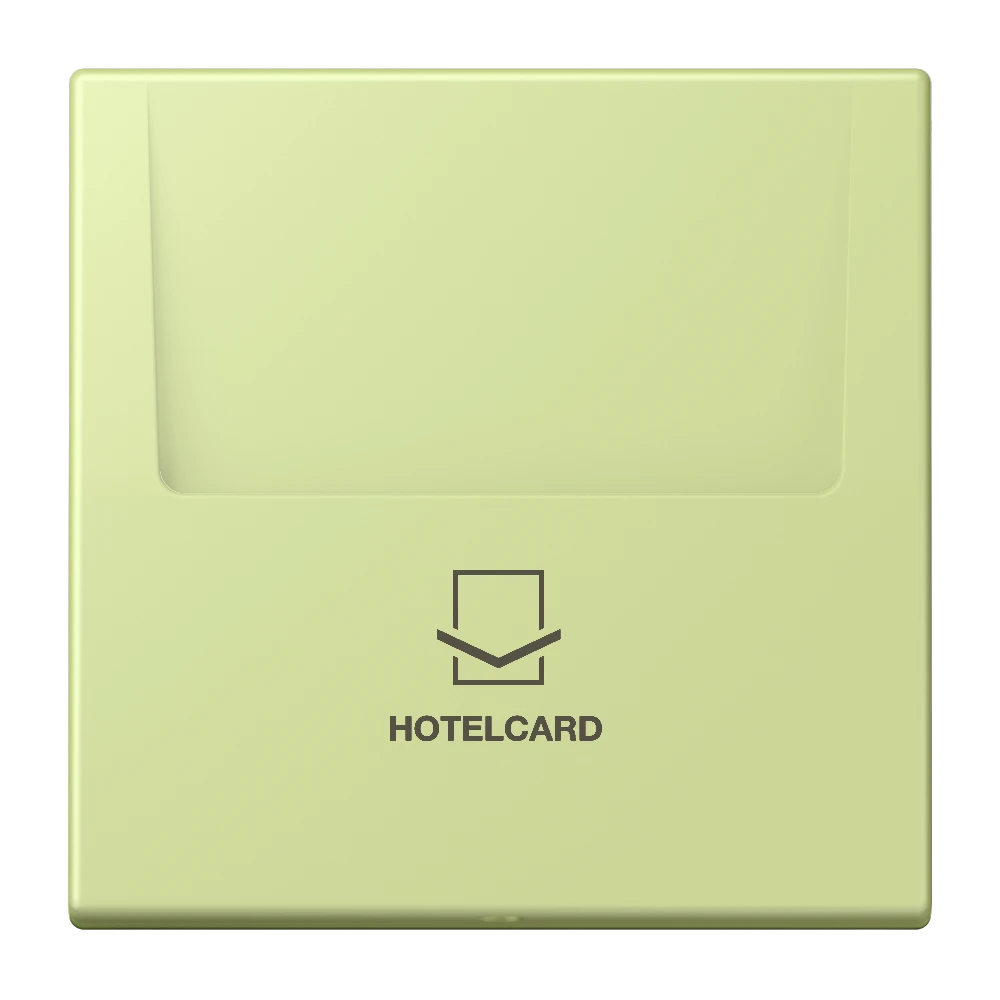 Key card holder, vert jaune clair (32053)
