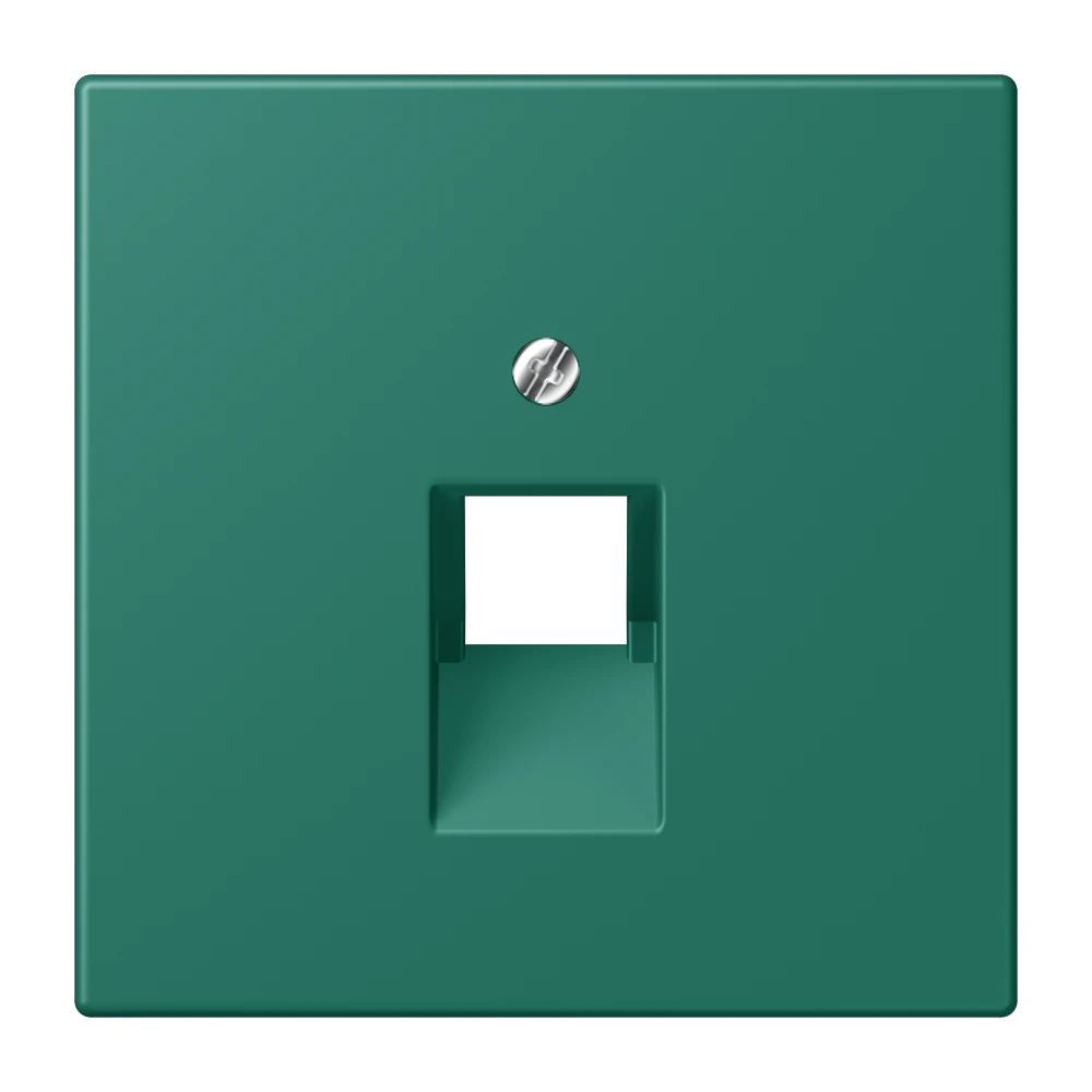 Abdeckung für IAE/UAE-Anschlussdosen, 1 x 8-polig, vert anglais (32040)