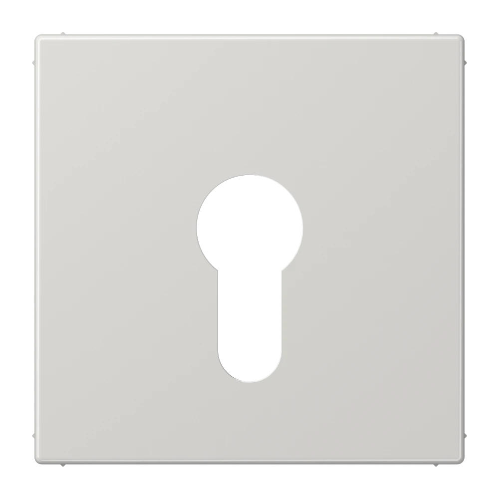 Centre plate, for key switch without protection against dismounting, light grey
