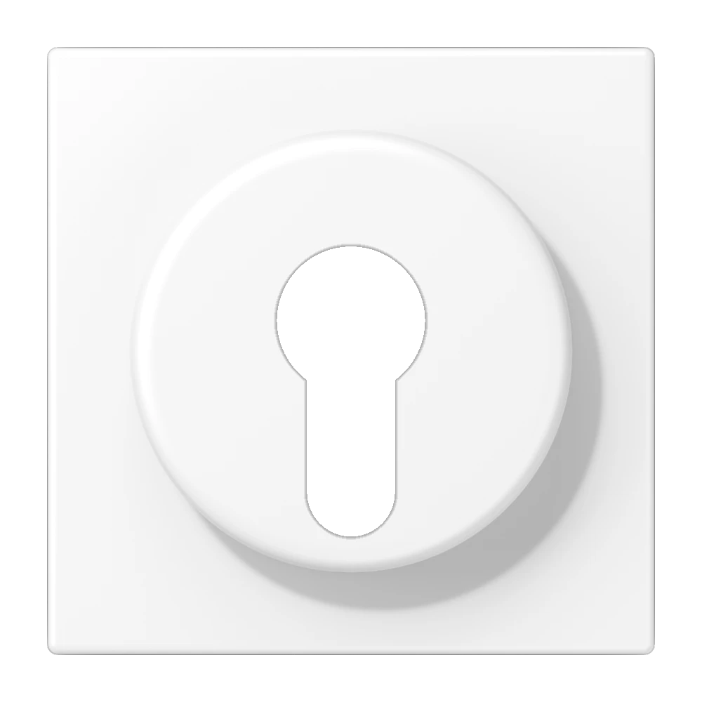 Centre plate, for key switch with protection against dismounting, matt snow white