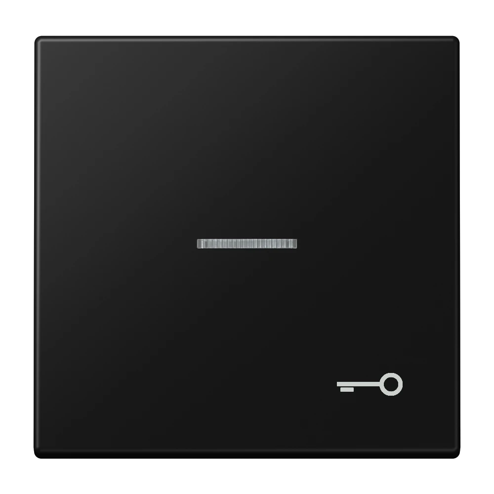 Rocker, symbol "door", with lens, matt graphite black