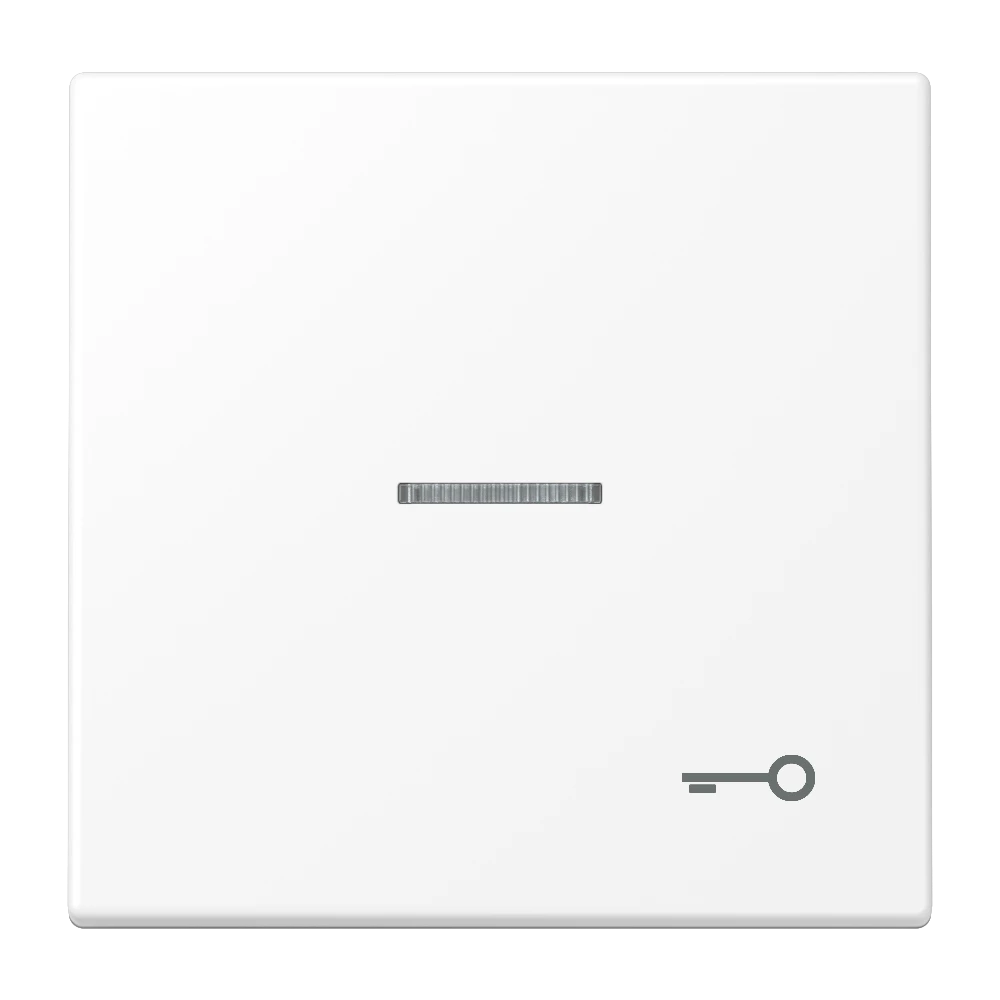 Rocker, symbol "door", with lens, matt snow white