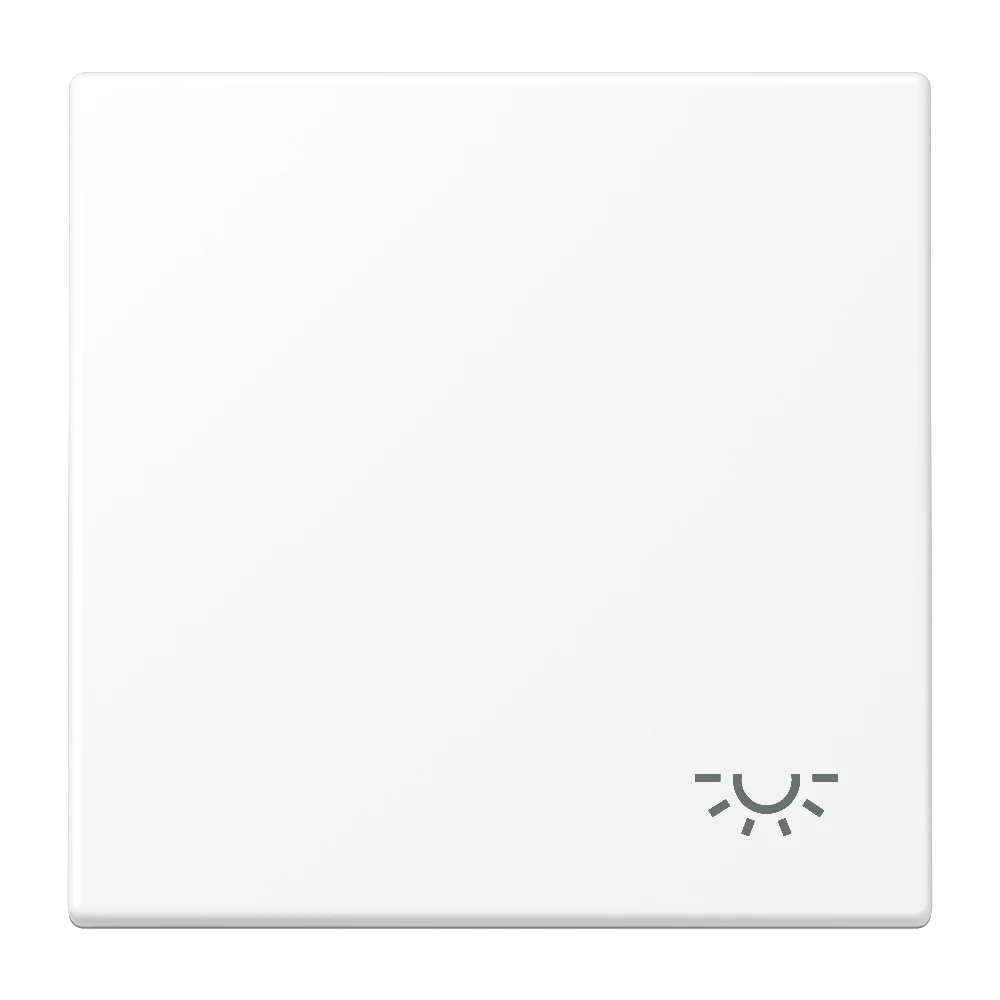 Rocker 1-gang, symbol "light", matt snow white