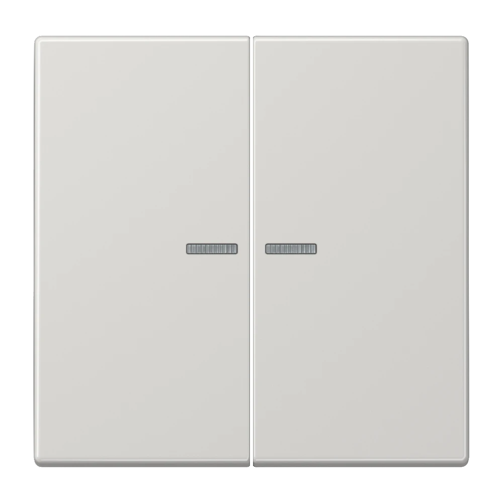 Wippe 2fach, mit Lichtleiter, lichtgrau