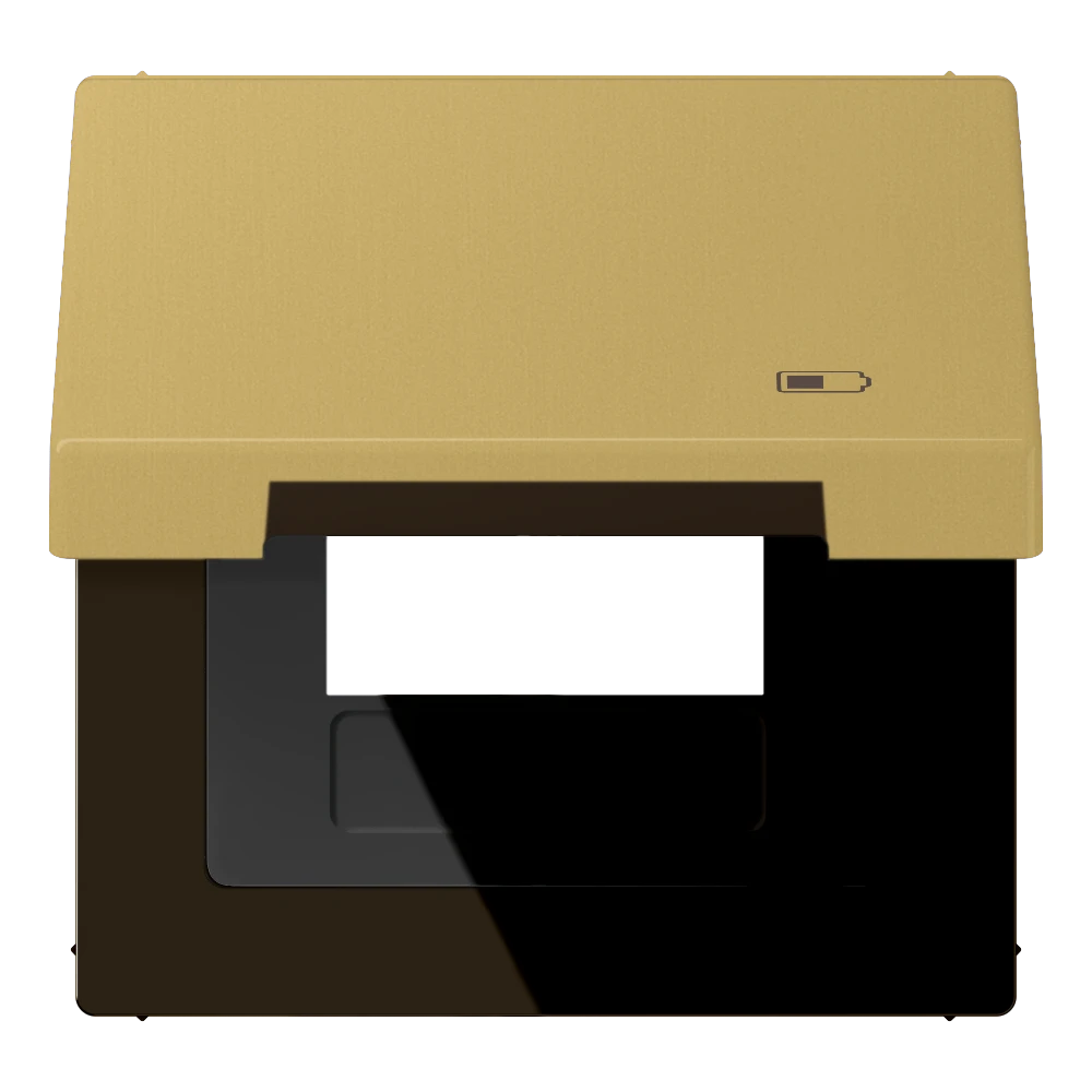 Hinged lid with spring, including centre plate, symbol "charger", classic brass