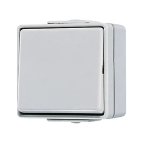 1-gang switch, intermediate, 10 AX 250 V ~, grey