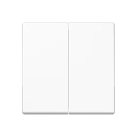 LB-Management Taster 2fach, Thermoplast, alpinweiß