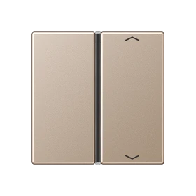 Cover 1-gang, F40, champagne