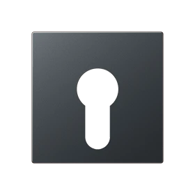 Centre plate, for key switch without protection against dismounting, matt anthracite