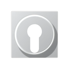 Centre plate, for key switch with protection against dismounting, aluminium