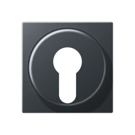 Centre plate, for key switch with protection against dismounting, matt anthracite