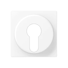 Centre plate, for key switch with protection against dismounting, matt snow white