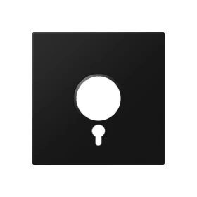 Centre plate, for panic button, matt graphite black