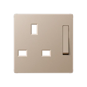 Centre plate for socket insert 571 G, thermoplastic lacquered, champagne