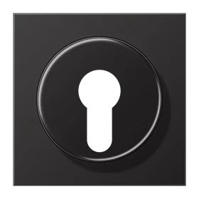 Centre plate, for key switch with protection against dismounting, dark