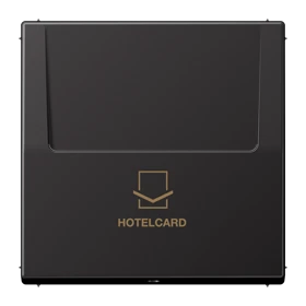 Key card holder, dark