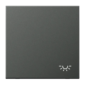 Schakelwip 1-voudig, Symbool "licht", Antraciet