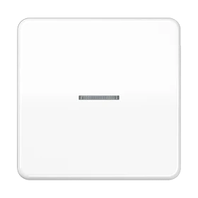 JUNG HOME push-button, with lens, white