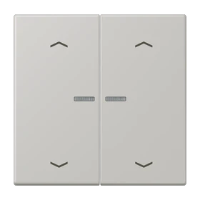 JUNG HOME Taster 2fach, mit Pfeilsymbolen, mit Lichtleiter, gris clair 31 (32013)