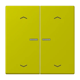 JUNG HOME Taster 2fach, mit Pfeilsymbolen, mit Lichtleiter, vert olive vif (4320F)