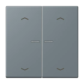 JUNG HOME Taster 2fach, mit Pfeilsymbolen, mit Lichtleiter, gris 59 (4320H)