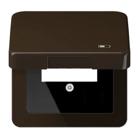 Hinged lid, including centre plate, symbol "charger", brown