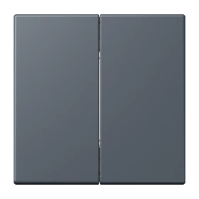 Friends of Hue radio transmitter, 4-channel, gris foncé 59 (4320U)