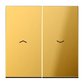 Rocker 2-gang, with arrow symbols, gold-coloured