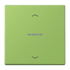 Enjoliveur touche 1 voie, F10, vert 31 (32051)