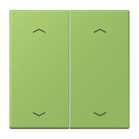 Wippe 2fach, F10, vert 31 (32051)