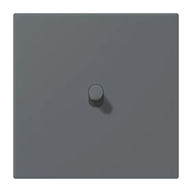 Centre plate with toggle lever "cylinder", 1 toggle lever, gris foncé 31 (32010)