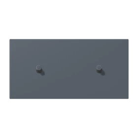 Centre plate with toggle lever "cylinder", 2 x 1 toggle lever, gris foncé 59 (4320U)