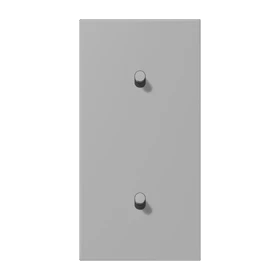 Centre plate with toggle lever "cylinder", 2 x 1 toggle lever, gris moyen (32012)
