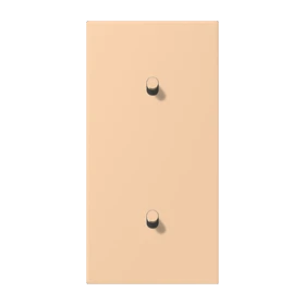 Centre plate with toggle lever "cylinder", 2 x 1 toggle lever, terre sienne claire 31 (32122)