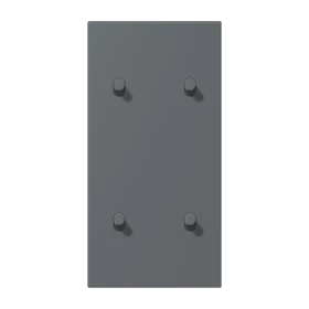 Centre plate with toggle lever "cylinder", 2 x 2 toggle levers, gris foncé 31 (32010)